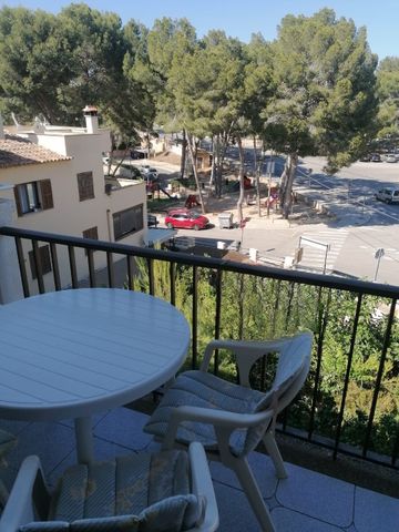 Apartment a few steps from the beach in Santa Ponsa - Photo 4