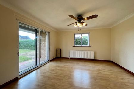 The Street - Photo 2