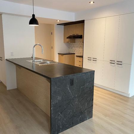Logement 5 1/2 - Ascenseur - Mars 2026 - Photo 3