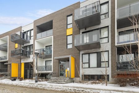 Condo for rent, Montréal (Le Plateau-Mont-Royal) - Photo 2