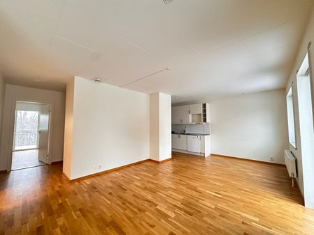 Kantorsgatan 55- 4rok (lgh 0055) - Photo 3