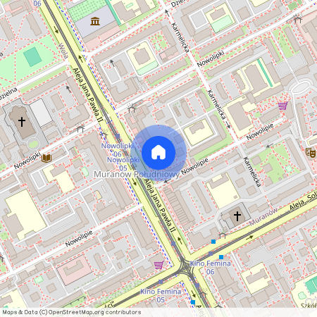 ul. Nowolipie, Muranów, Śródmieście, Warszawa, mazowieckie