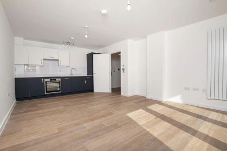 Boundary Roww - Photo 5