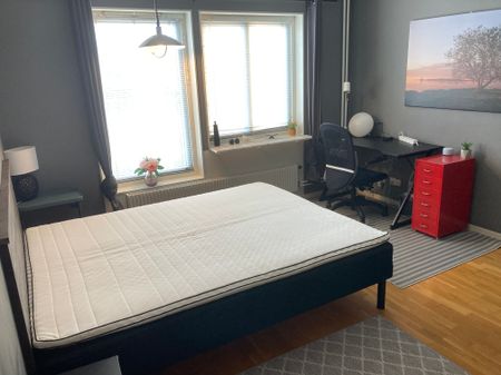 Magasinsgatan, Visby - Photo 3