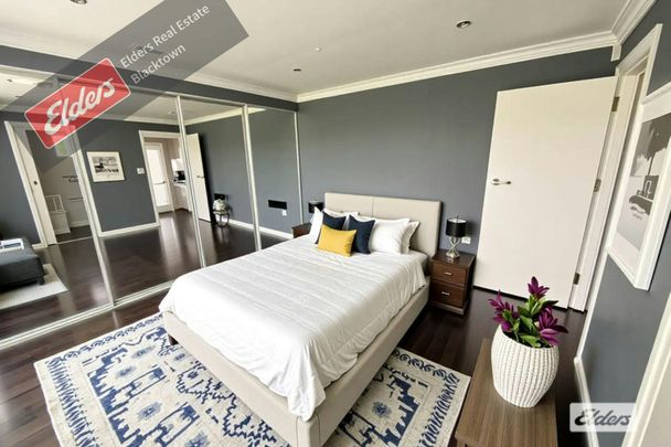 Newly renovated 4-bedroom property in the heart of the hills. - Photo 1