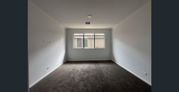 Brand New Family Home! - Photo 1