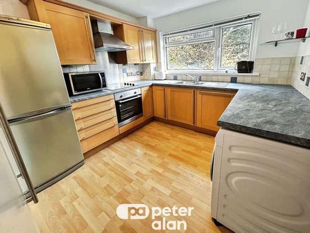 Woodside Court, Lisvane Road, Llanishen, CF14 - Photo 5