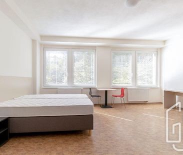 Apartment for rent, 1+KK - Studio, 35m - Photo 4