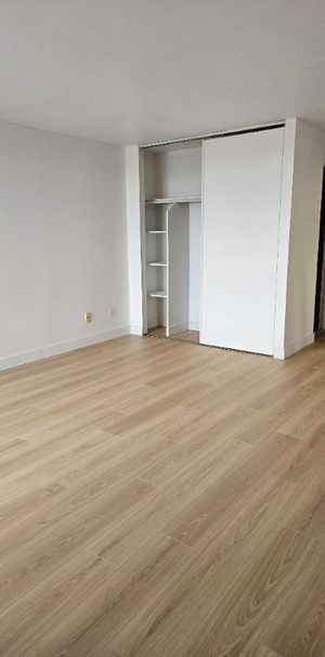 1 CH - 1 SDB - Montréal - $1,395 /mo - Photo 1