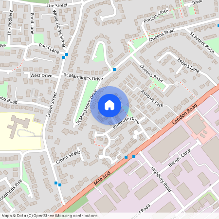 Bluebell Walk, Brandon