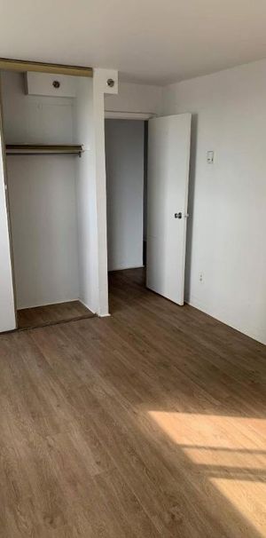 1 CH - 1 SDB - Montréal - $1,395 /mo - Photo 1