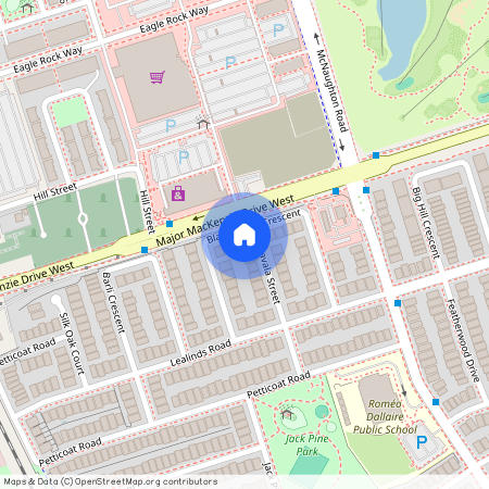 86 Black Maple Crescent Unit# BSMT, Vaughan