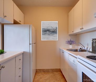 One Bedroom - Photo 4