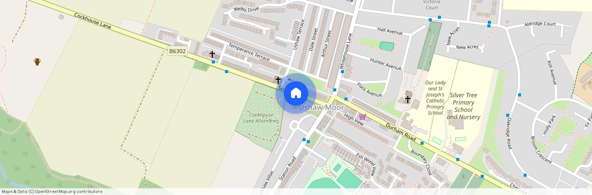 Ushaw Villas, USHAW MOOR, Durham