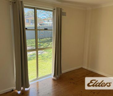 14 Peter Street - Photo 6