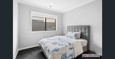 Peaceful and Private - A St Leonards Beauty - Photo 5