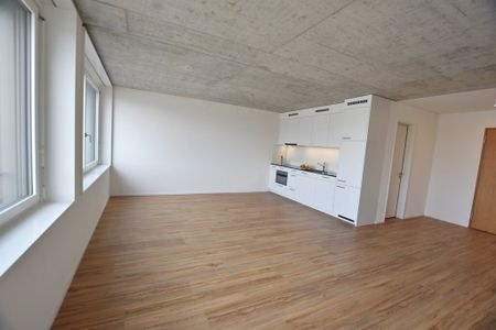 Appartement moderne de 2,5 pièces avec grande terrasse commune sur le toit - Photo 4