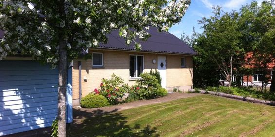 Hjortdal, Abishøje 14 B - Foto 3