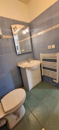 Location - Appartement - 1 pièces - 19.94 m² - labastide Saint Pierre - Photo 3