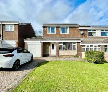Cherry Grove, Prudhoe, NE42 - Photo 3