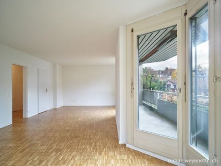 Quiet residential area near the Rhine - Photo 2