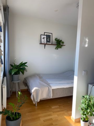 Lyktvägen, Umeå - Photo 2