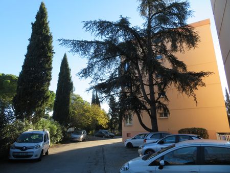T3+GARAGE 545€ H.C St-Cesaire Nîmes, 71m² - Photo 3