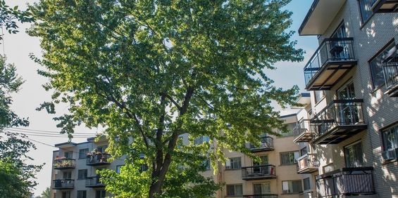 2 Bedrooms - 5200-5205-5215 Riviera Blvd., Pierrefonds - Photo 3