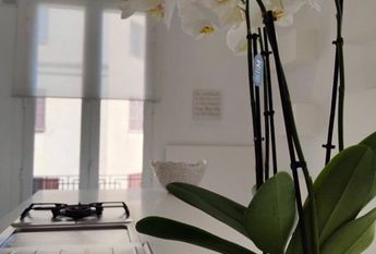 4 room luxury penthouse for rent in Palma de Mallorca, Balearic Islands