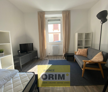 Location Appartement 2 pièces 27m² ST LOUIS 68300 - Photo 4
