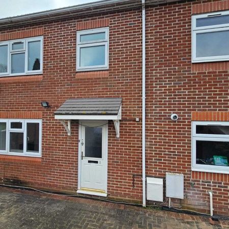 Allan Grove - Photo 4