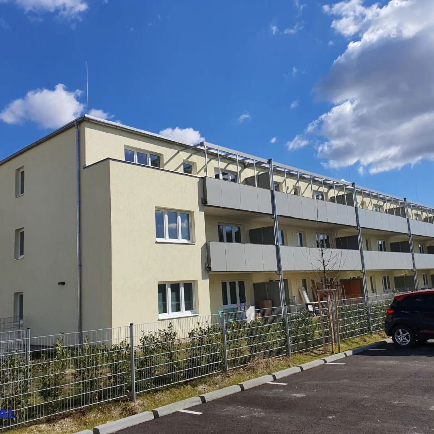 ERSTBEZUG-GENOSSENSCHAFTSWOHNUNG in Strasshof - Top 12 - Foto 1