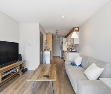 Appartement à Montréal (Mercier/Hochelaga-Maisonneuve) - Photo 3