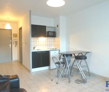 Location Appartement 1 pièce 24m² GRENOBLE 38100 - Photo 3
