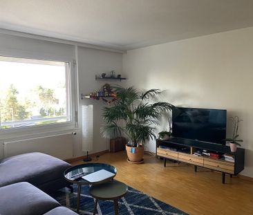 Joli appartement de 2 pièces dans un quartier proche de la nature - Photo 3