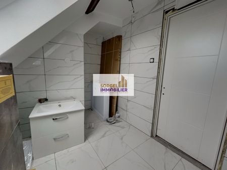 Location Appartement 1 pièce 22m² SELESTAT 67600 - Photo 3