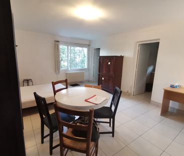 VIVARAIZE / 45 RUE FRANCISQUE VOYTIER T2 - Photo 5