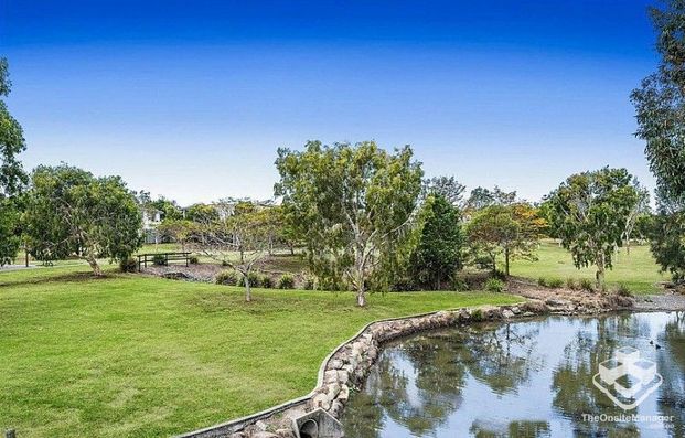 Large Studio unit with open Living area and courtyard - Photo 1