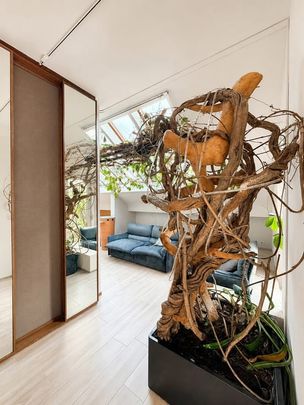 Penthouse te huur - foto 1