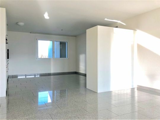 2.5 Room Apartment - Photo 1