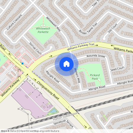 7 Albright Road Unit# Bsmt, Brampton