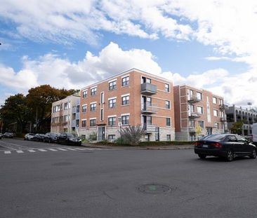 6940 20e Avenue - Photo 6