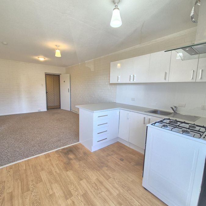 1 Bedroom, 1 Bathroom, 1 Prime Location! - Photo 1