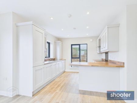 116 Watsons Fort, Newry, BT35 8YN - Photo 5