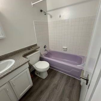 2 Beds 1 Bath - Apartment - Photo 3