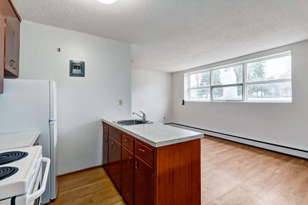 Renovated Suite - 1 Bedroom - Photo 5