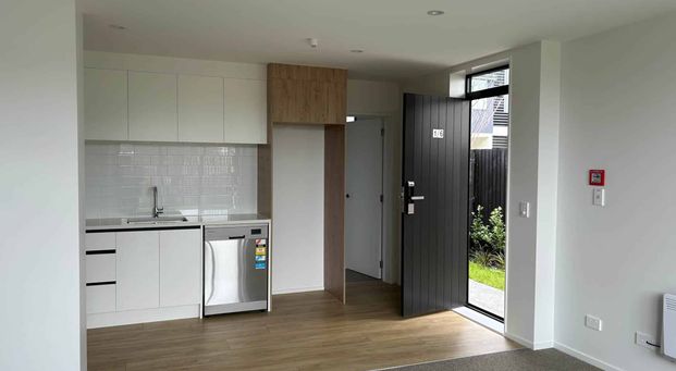 New 3 Bedroom, 2 Bathroom Home - Photo 1