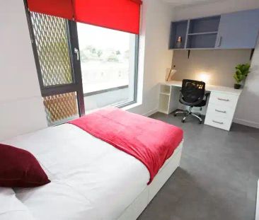 Bronze Studio - Photo 5