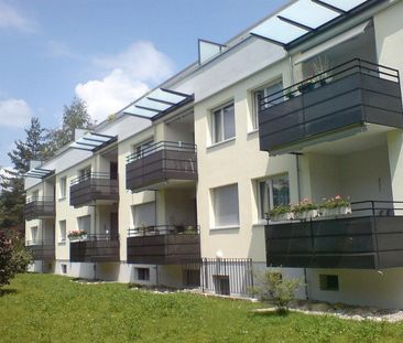 Ruhige Wohnung im Zentrum von Witikon - Foto 2