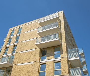 Te huur: Appartement Boekweitkamp in Den Haag - Photo 3